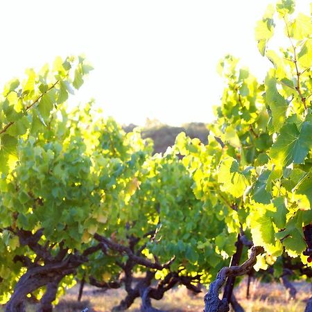 Bed & Breakfast At Tiffany'S Mclaren Vale Exterior photo